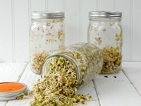 Boulder Locavore Sprouting Jars